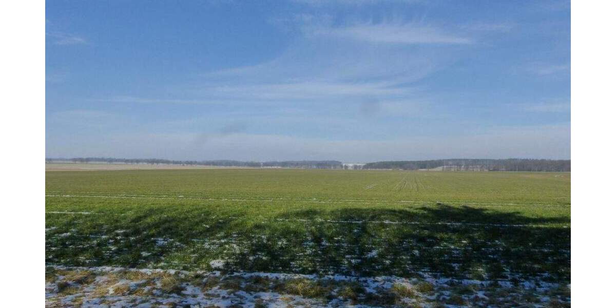 Grundstück Cavertitz OT Lampertswalde Lampertswalde - 89.000&euro; | Angebot:25729617