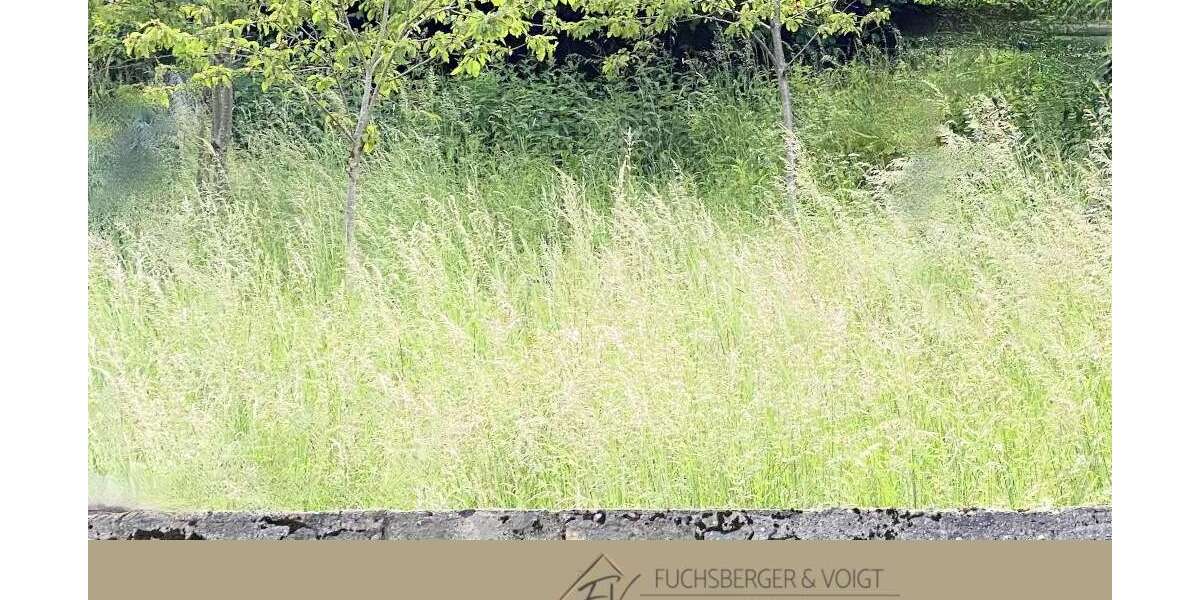 Grundstück Schmitten - 150.000&euro; | Angebot:16273024