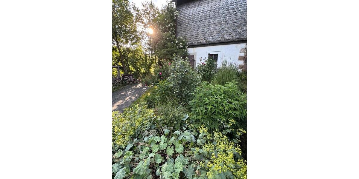 Einfamilienhaus Brücken - 8 Zimmer, 280 m&sup2;, 585.000&euro; | Angebot:26877828