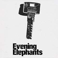 Evening Elephants 30.10.2025 Bi Nuu