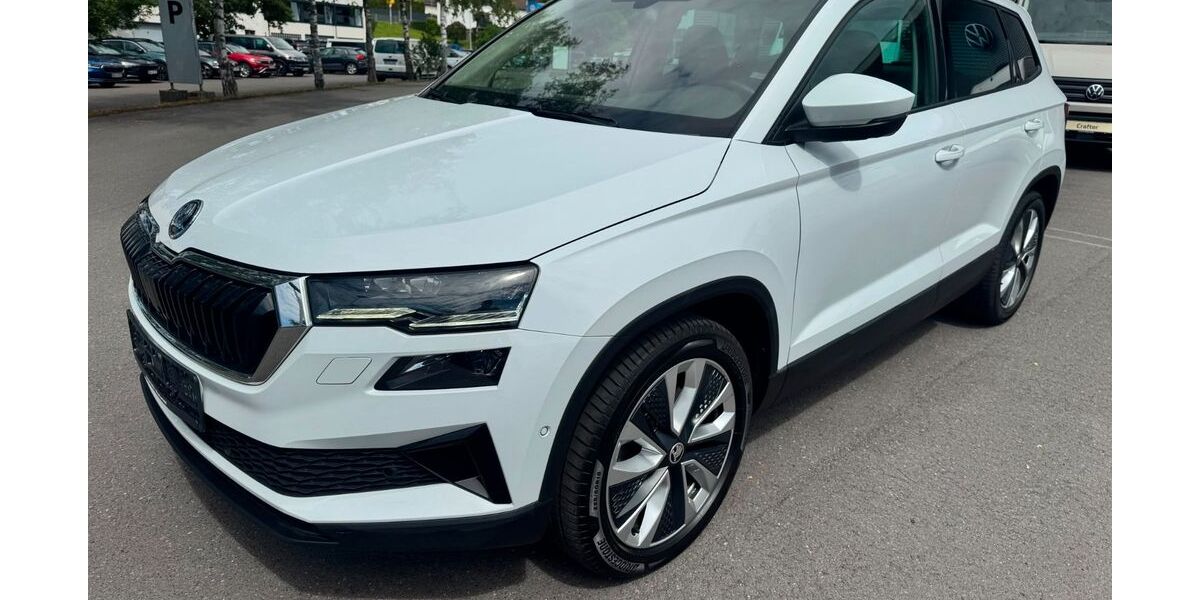 Skoda Karoq 195.700 km 19.900 &euro; Sundern 59846