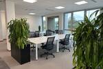 Gewerbeobjekt Frechen Hücheln - 369&euro; | Angebot:25971049