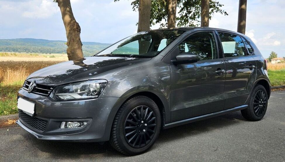 Polo