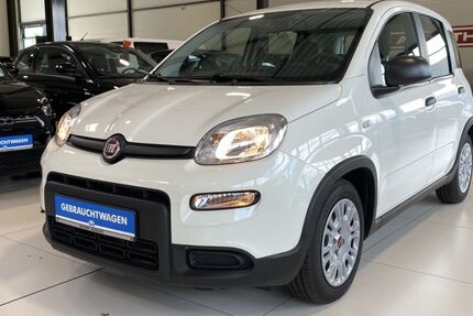 Fiat Panda 19.784 km 10.490 &euro; Buchholz in der Nordheide 21244