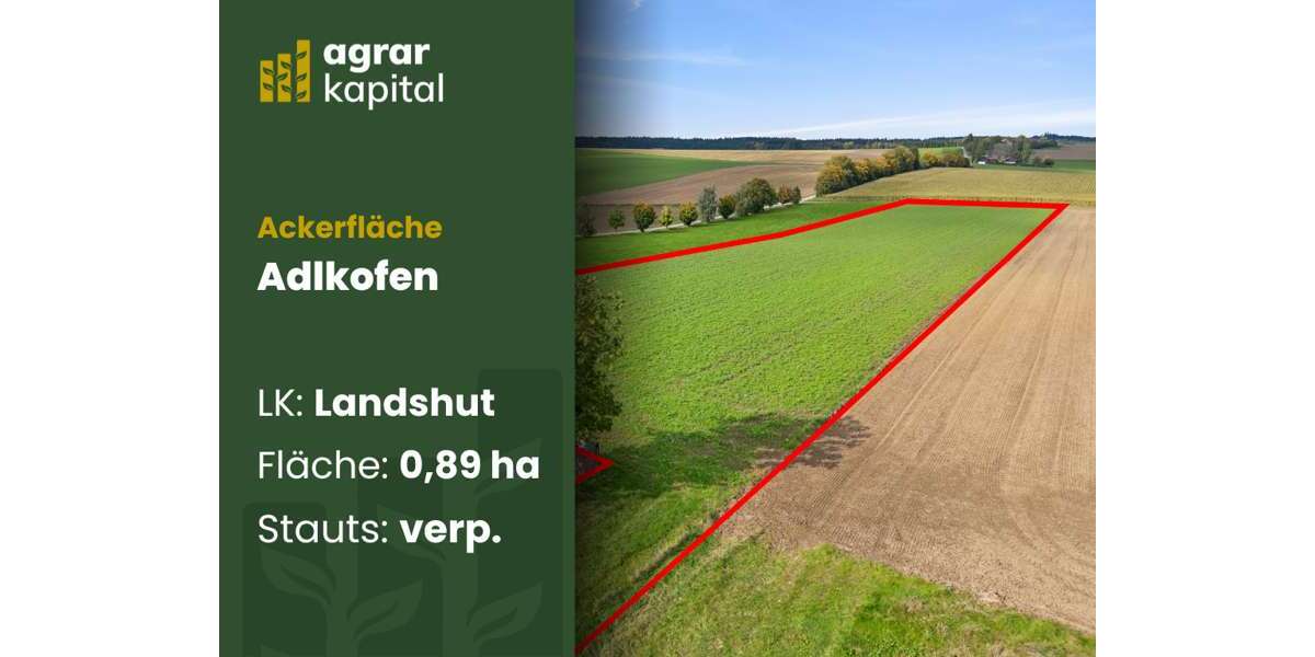 Grundstück Adlkofen/Wollkofen Wollkofen - 169.500&euro; | Angebot:23997603