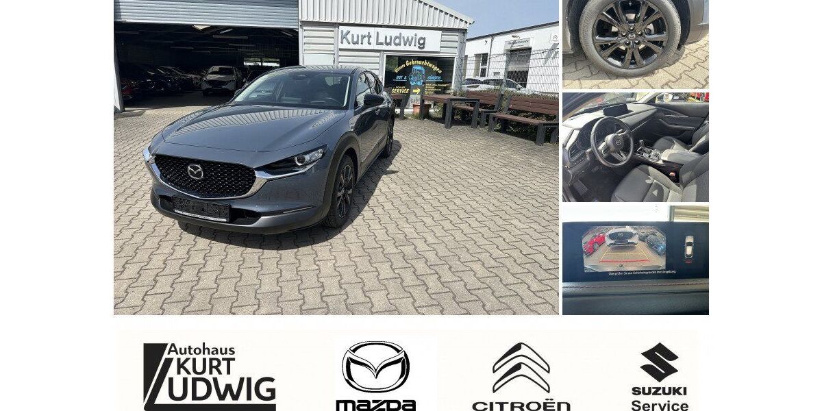Mazda CX-30 19.568 km 25.990 &euro; Halle 06126