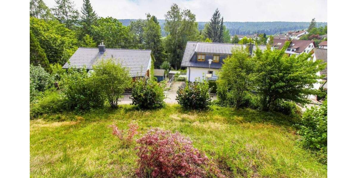 Sofort wohlfühlen: Lichtdurchflutetes 6-Zi.-Architektenhaus in idyllischer Lage in Sankt Georgen 6 zimmer
