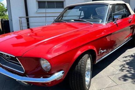 Ford Mustang 72.000 km 42.500 &euro; Bonn 53177