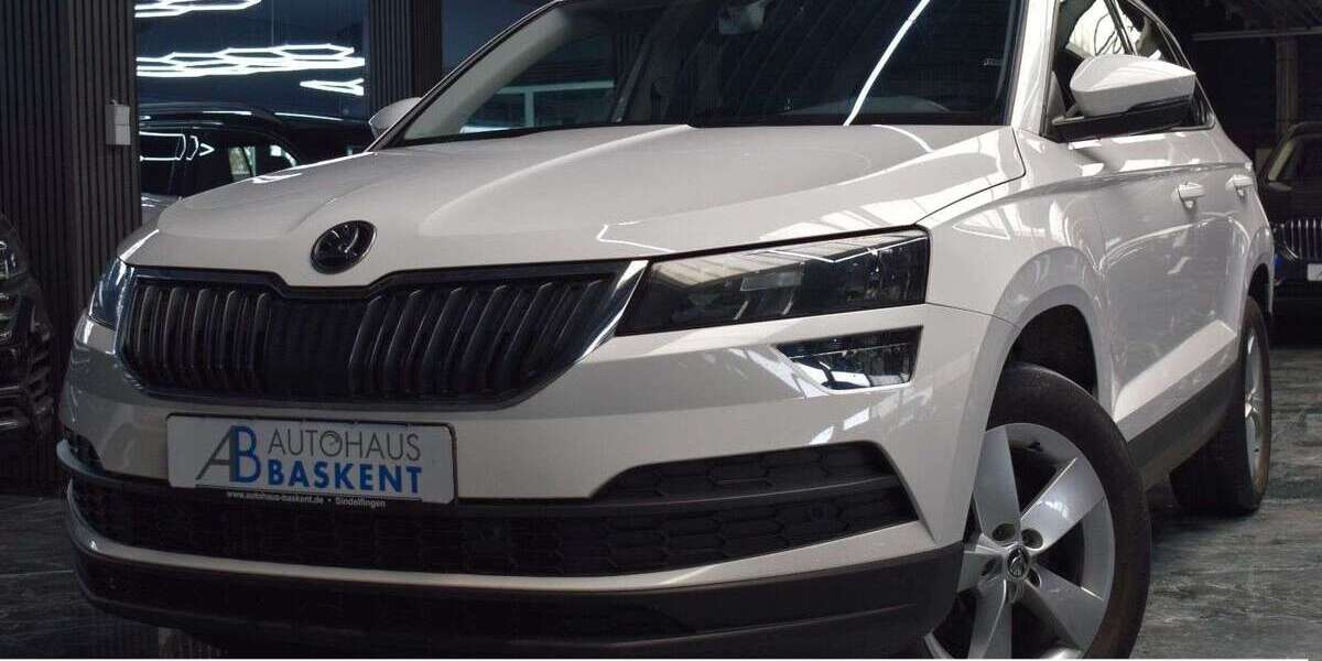 Skoda Karoq 160.300 km 19.980 &euro; Sindelfingen-Darmsheim 71069