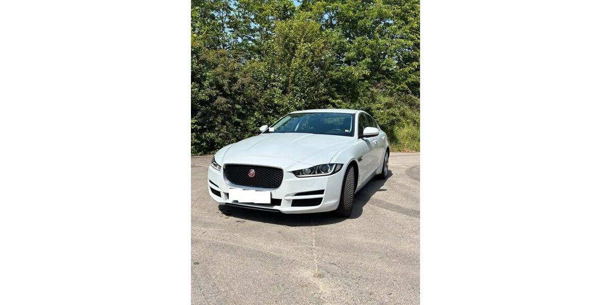 Jaguar XE 117.470 km 15.500 &euro; Thuine 49832