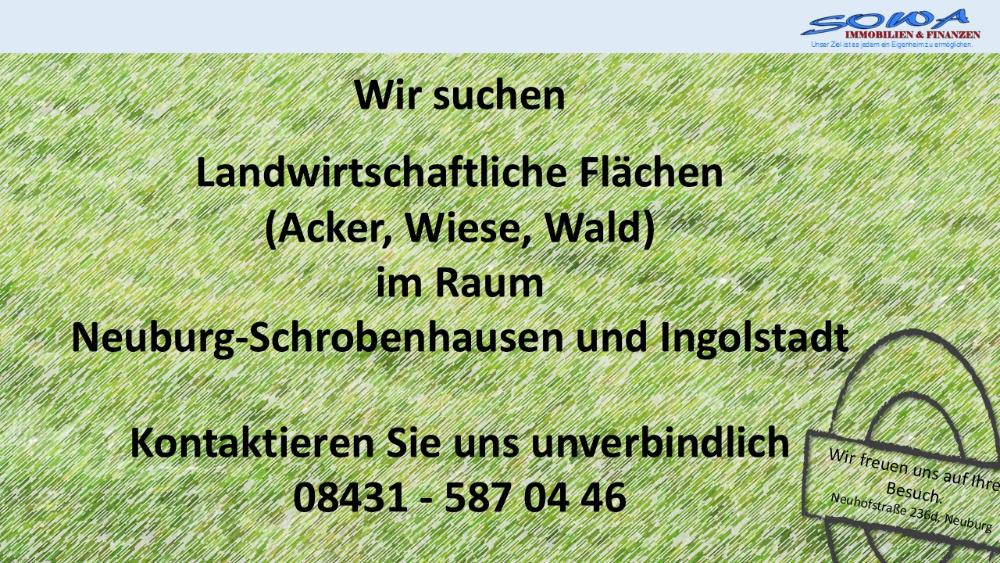 Großzügige Landwirtschaftsfläche Wiese in Königsmoos, evtl. Ausgleichsfläche oder PV - Ein Objekt von SOWA Immobilien & Finanzen Ihrem Immobilienprofi vor Ort - Grundstück Königsmoos | Angebot:26262699