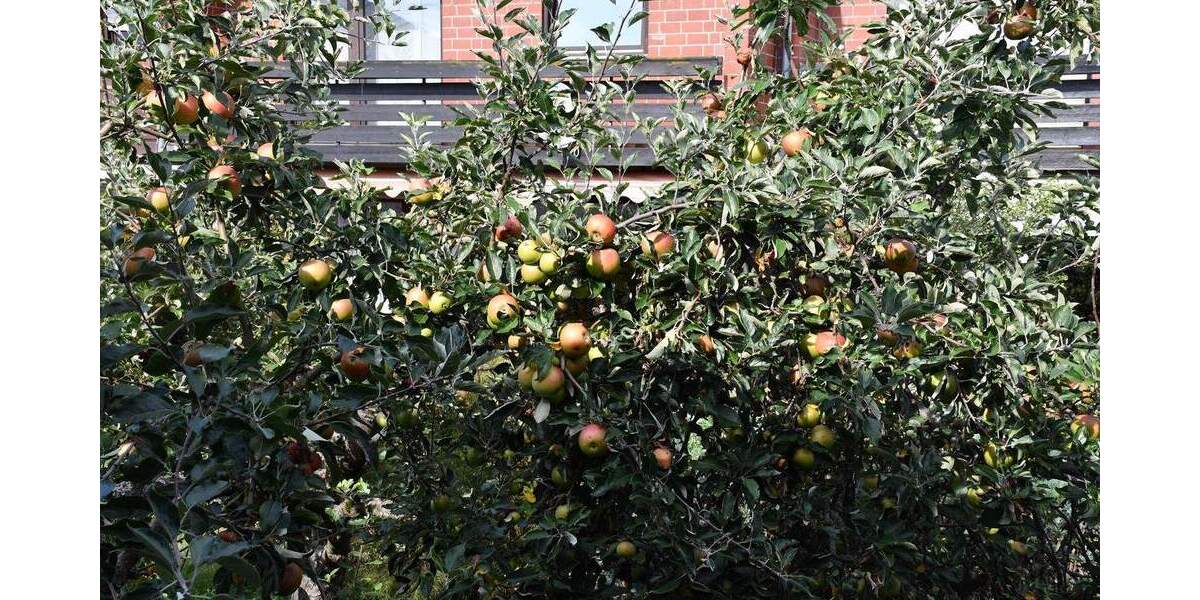 Einfamilienhaus Dieburg - 6 Zimmer, 176 m&sup2;, 1.950&euro; | Angebot:25740760