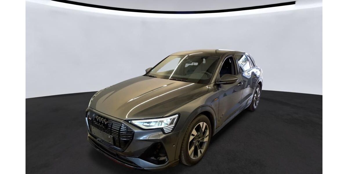 Audi e-tron 39.071 km 37.990 &euro; Hamburg 22047