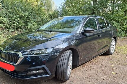 Skoda Octavia 56.000 km 17.999 € Kaarst 41564