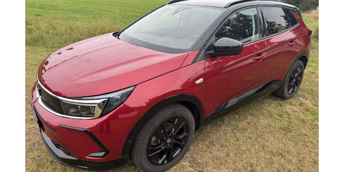 Opel Grandland (X) 33.140 km 26.950 € Lichtenstein 09350