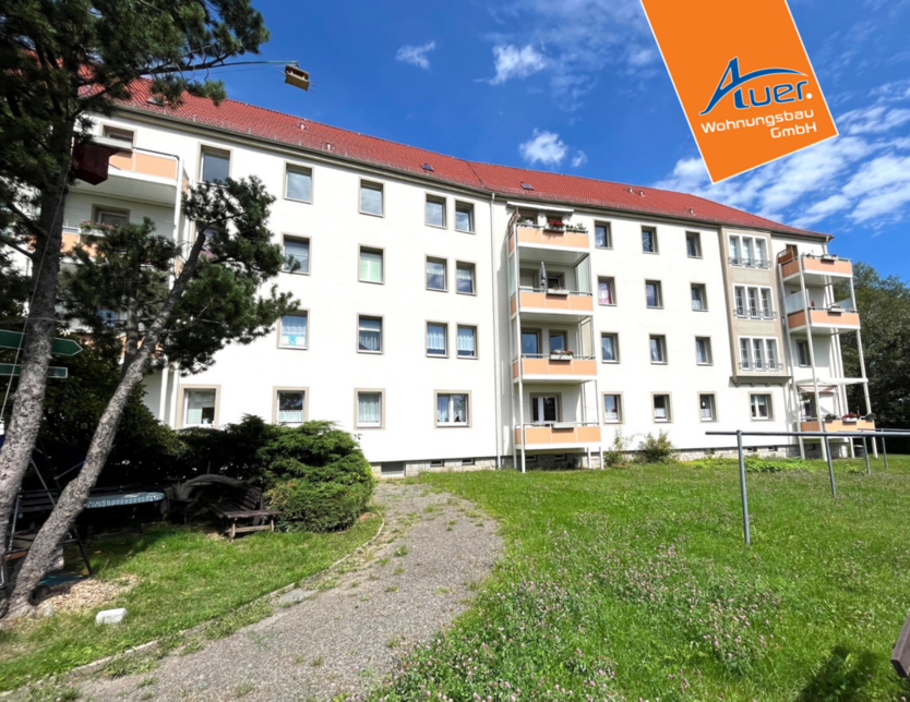 Wohnung zum Mieten in Aue-Bad Schlema 279,73 € 50.86 m²