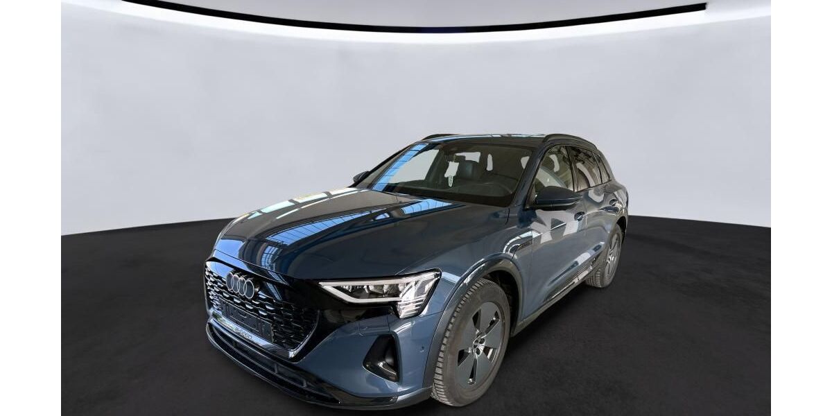 Audi Q8 e-tron 53.073 km 49.990 &euro; Hamburg 22047