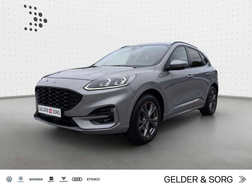 Kuga