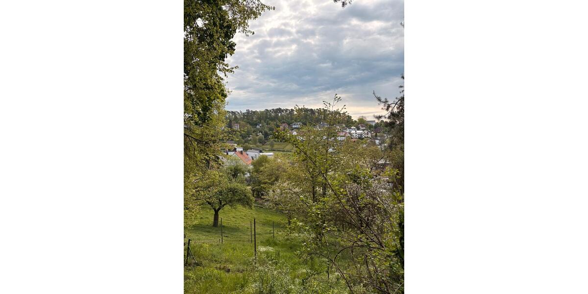 Einfamilienhaus Naumburg - 115 Zimmer, 115 m&sup2;, 50.000&euro; | Angebot:26926492
