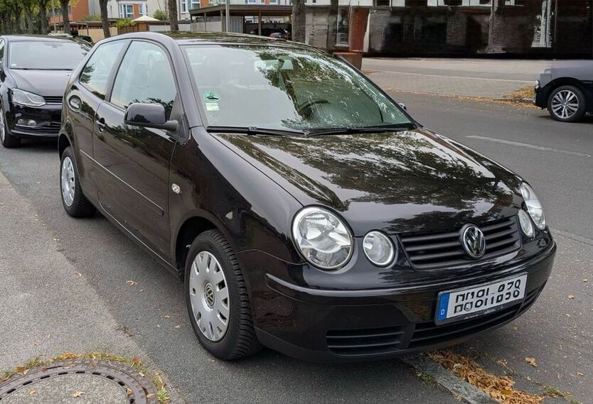 Polo