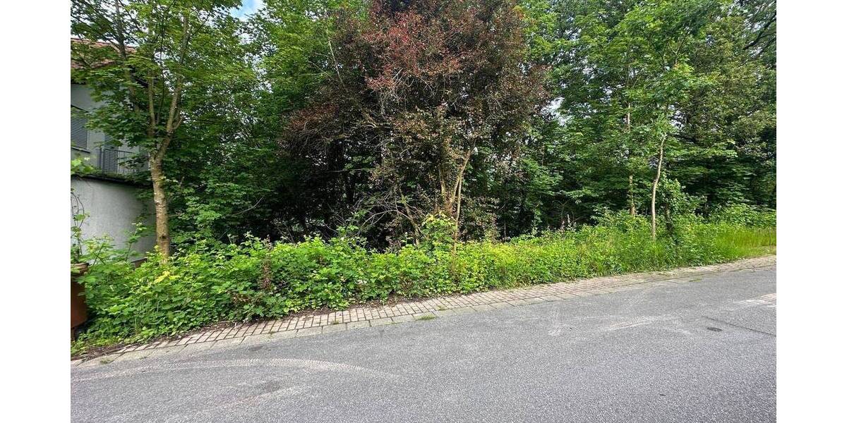 Grundstück Schönau - 65.000&euro; | Angebot:25685541