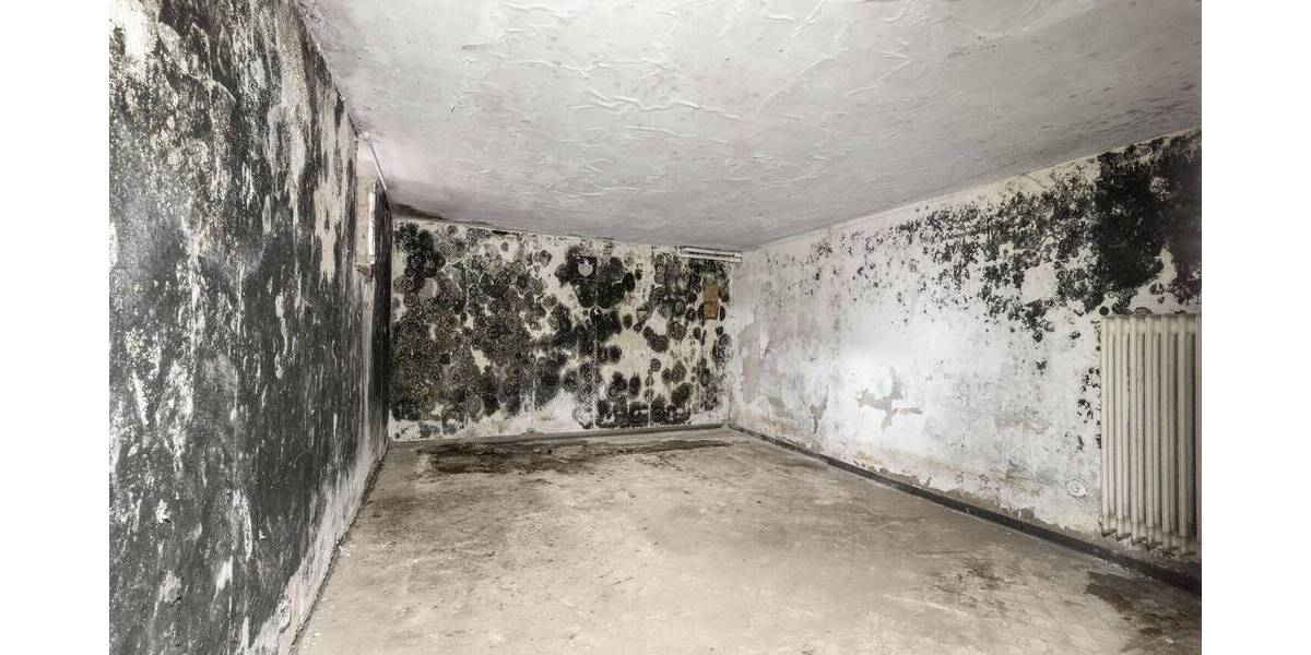 Einfamilienhaus Buxtehude Immenbeck - 6 Zimmer, 102 m&sup2;, 248.000&euro; | Angebot:26026920