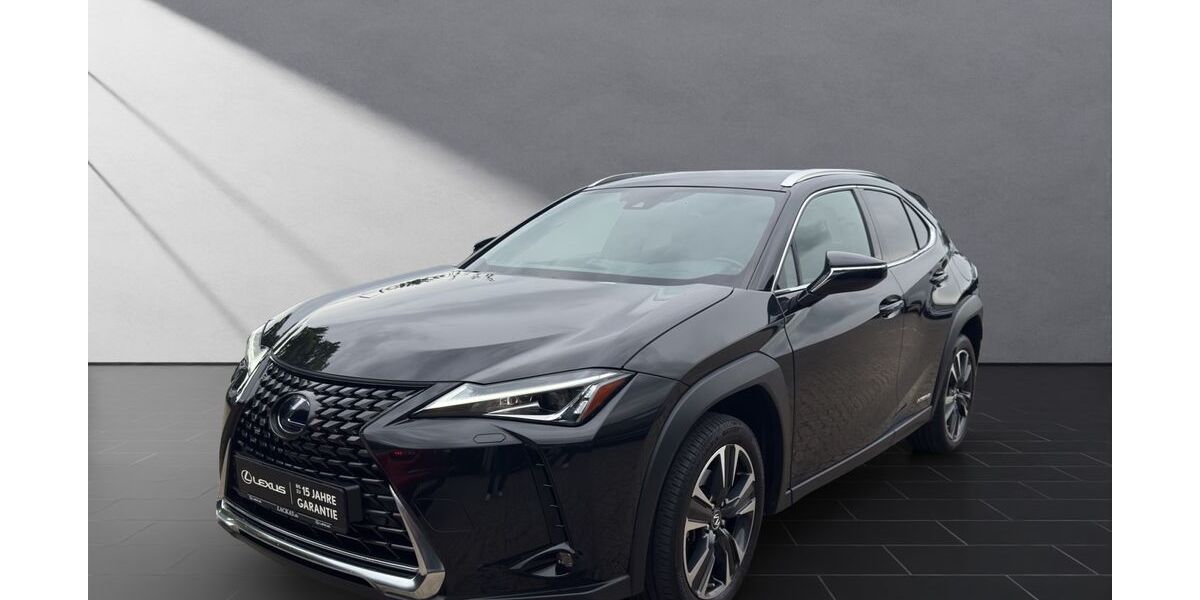 Lexus UX 41.200 km 25.950 &euro; Wesel 46485