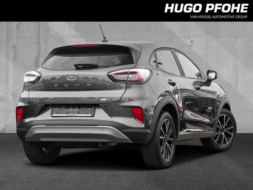 Puma
