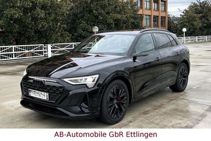 Audi Q8 e-tron 41.544 km 58.900 &euro; Ettlingen 76275