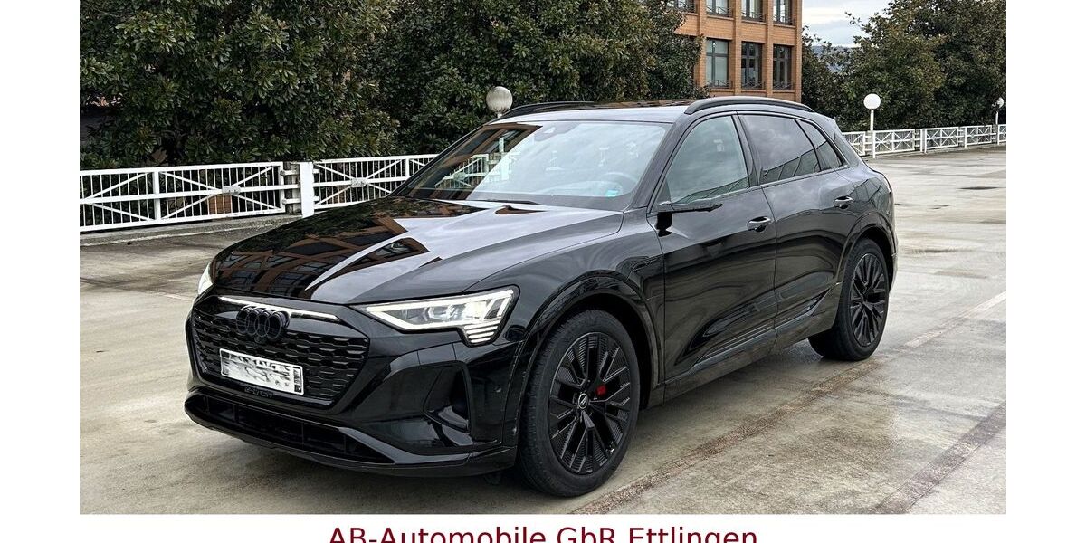 Audi Q8 e-tron 41.544 km 58.900 &euro; Ettlingen 76275