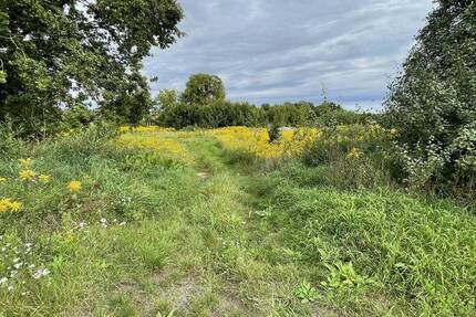 Grundstück Briesen (Mark) Briesen - 1.288.800&euro; | Angebot:22665738