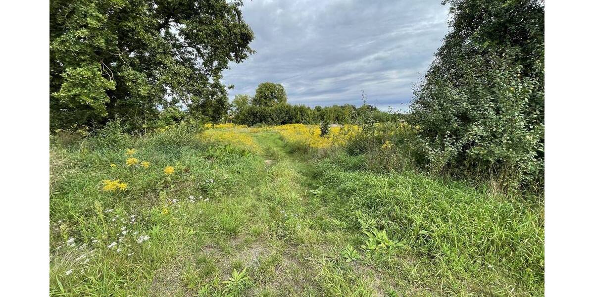 Grundstück Briesen (Mark) Briesen - 1.288.800&euro; | Angebot:22665738