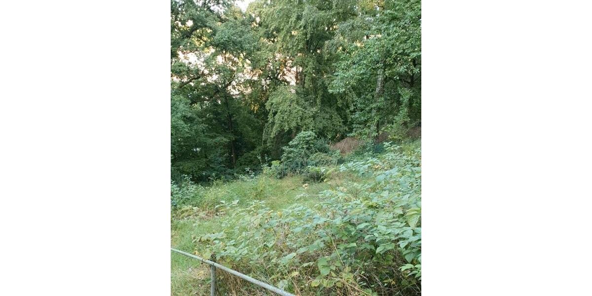 Grundstück Stadtroda - 10.000&euro; | Angebot:26089427