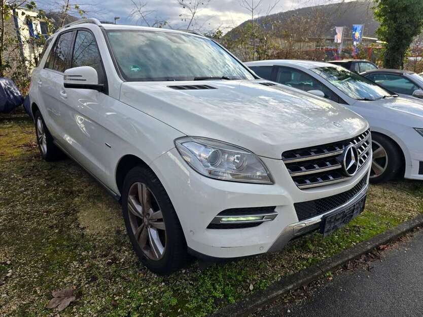 ML 250