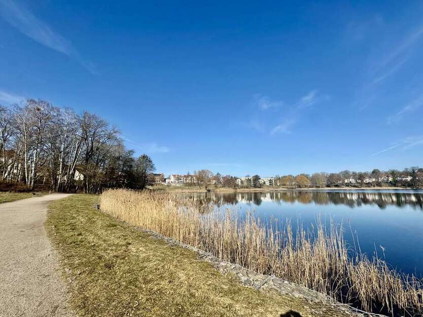 Wohnung zum Mieten in Neustrelitz 640 € 81.25 m² 2.5 zimmer