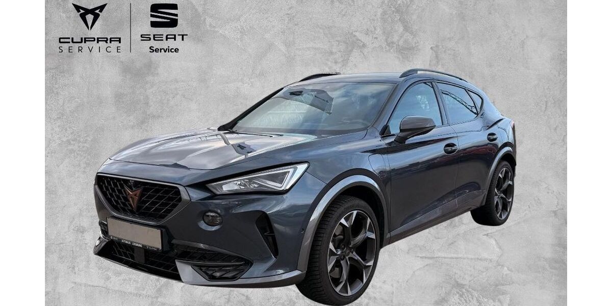 Cupra Formentor 54.300 km 26.200 &euro; Lossburg 72290