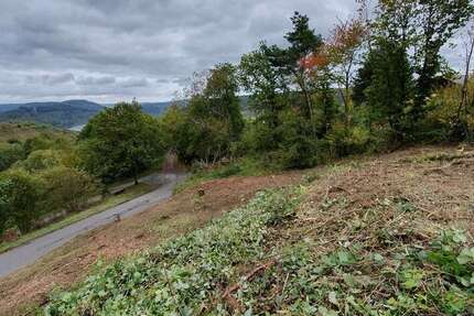 Grundstück Reil - 89.000&euro; | Angebot:23152932