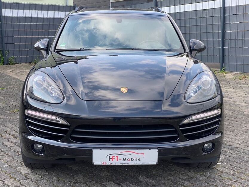 Cayenne