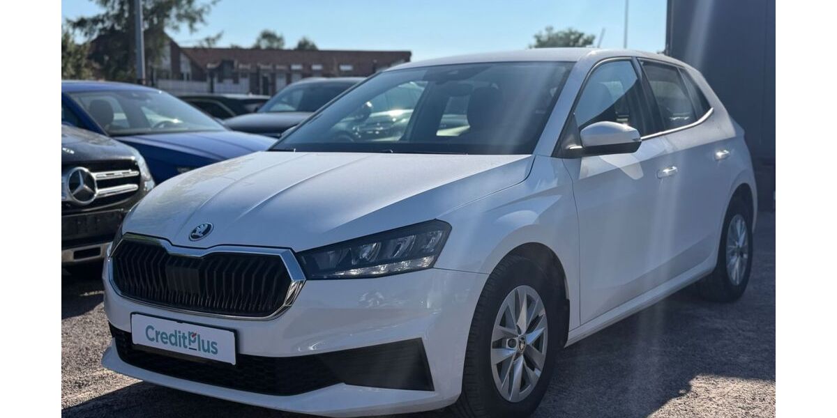 Skoda Fabia 90.000 km 12.890 &euro; Ludwigsfelde 14974