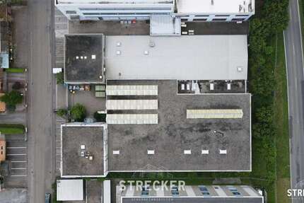 Halle in Königsbach-Stein 3.200.000 € 3131 m² zimmer