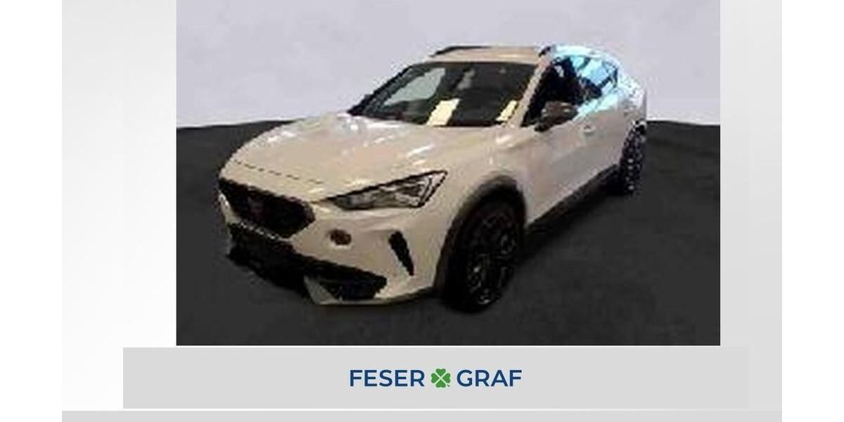 Cupra Formentor 17.199 km 28.750 &euro; Lauf an der Pegnitz 91207