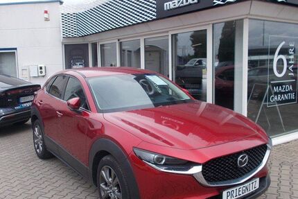 Mazda CX-30 60.800 km 17.990 &euro; Brandenburg a. d. Havel 14772