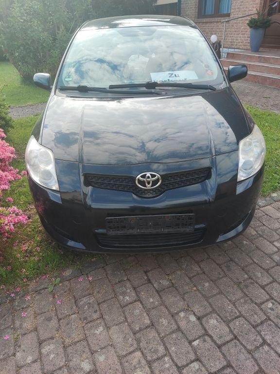 Auris