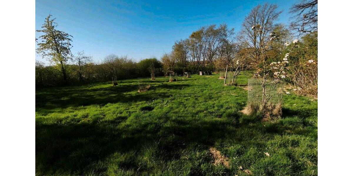 Mehrfamilienhaus, Wohnhaus Uelzen - 13 Zimmer, 340 m&sup2;, 399.000&euro; | Angebot:26364586