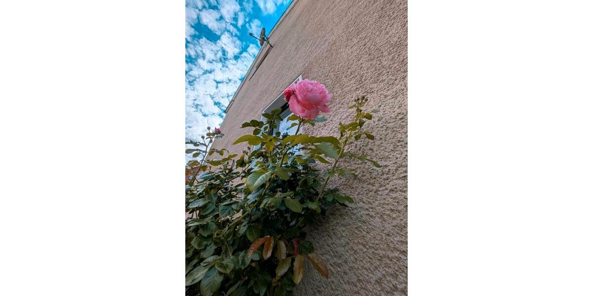Doppelhaushälfte Greiz - 5 Zimmer, 90 m&sup2;, 74.500&euro; | Angebot:27272741