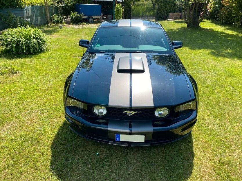 Mustang