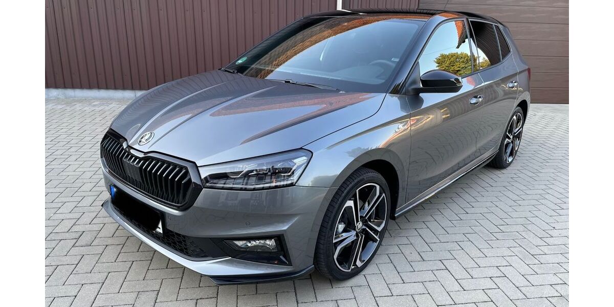 Skoda Fabia 65.000 km 18.500 &euro; Oderwitz 02791