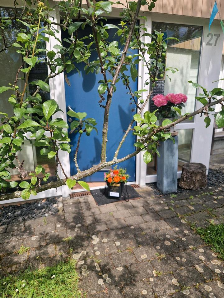Wohnung Erdgeschoss barrierefrei 3 Zimmer + Küche + Bad