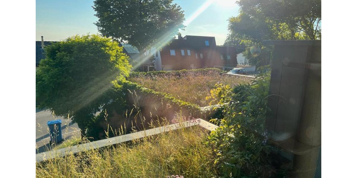 Einfamilienhaus Albstadt Gemarkung Onstmettingen - 6 Zimmer, 180 m&sup2;, 569.000&euro; | Angebot:26440197