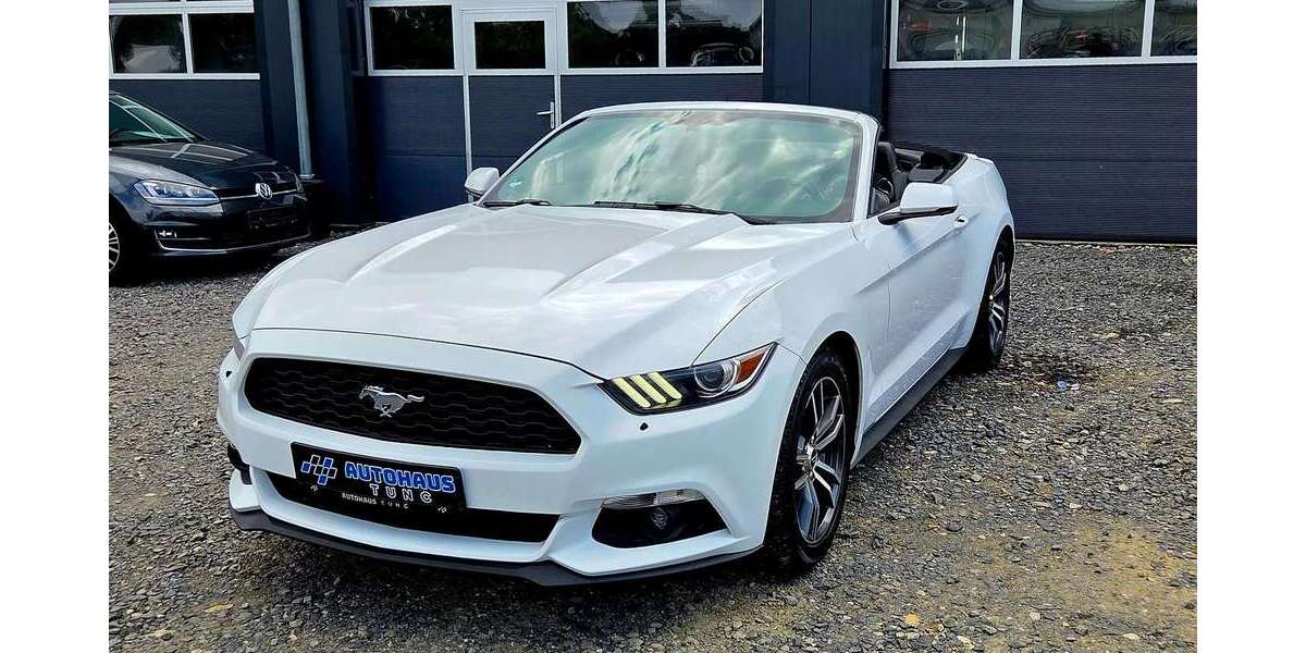 Ford Mustang 110.000 km 24.500 &euro; Neustadt Hessen 35279
